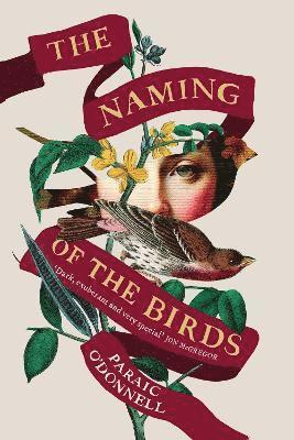 The Naming of the Birds 1