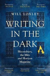 bokomslag Writing in the Dark