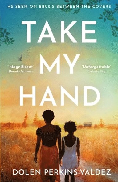 Dolen Perkins-Valdez - Take My Hand, Häftad