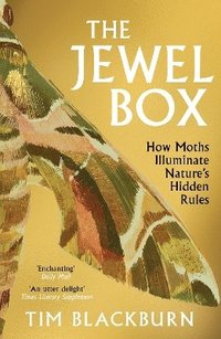 bokomslag The Jewel Box
