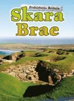 bokomslag Skara Brae