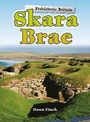 bokomslag Skara Brae