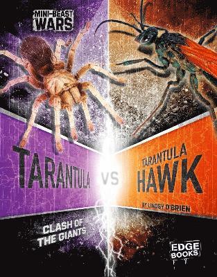 Tarantula vs Tarantula Hawk 1