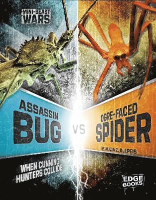 Assassin Bug vs Ogre-Faced Spider 1