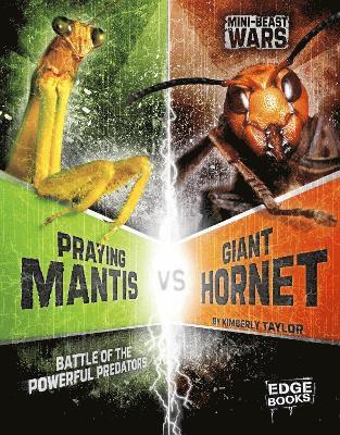 Praying Mantis vs Giant Hornet 1