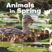 bokomslag Celebrate Spring Pack A of 4