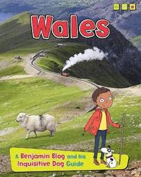 bokomslag Wales