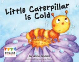 Little Caterpillar Is Cold 1