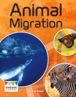 bokomslag Animal Migration