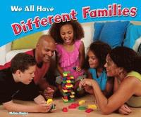 bokomslag We All Have Different Families