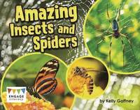bokomslag Amazing Insects and Spiders