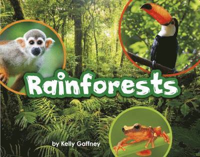 Kelly Gaffney - Rainforests, Häftad