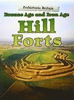 bokomslag Bronze Age and Iron Age Hill Forts