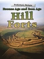 Dawn Finch - Bronze Age and Iron Age Hill Forts, Häftad