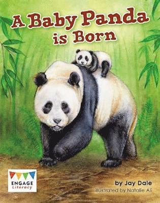 bokomslag A Baby Panda is Born