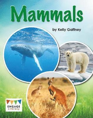 Mammals 1