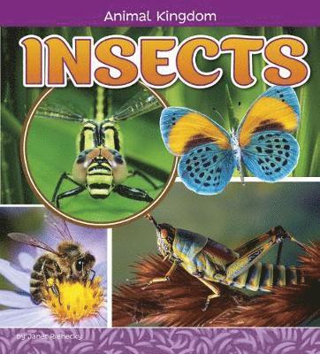 bokomslag Insects