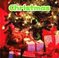 Lisa J. Amstutz - Christmas, Häftad