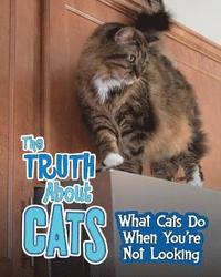 bokomslag The Truth about Cats