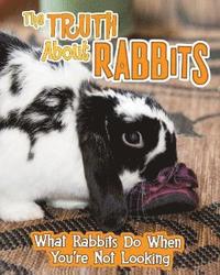 bokomslag The Truth about Rabbits