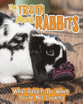 The Truth about Rabbits 1