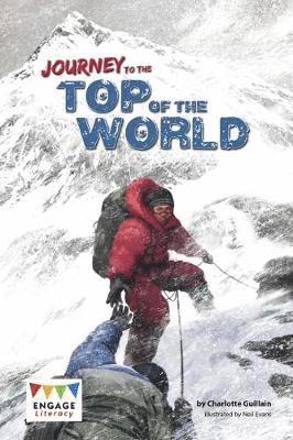 bokomslag Journey to the Top of the World