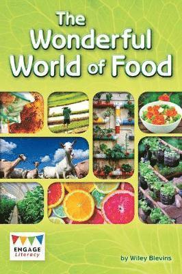 Wonderful World of Food
