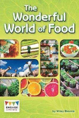 The Wonderful World of Food 1