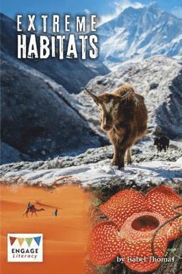 bokomslag Habitats Around the World
