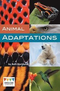 bokomslag Animal Adaptations