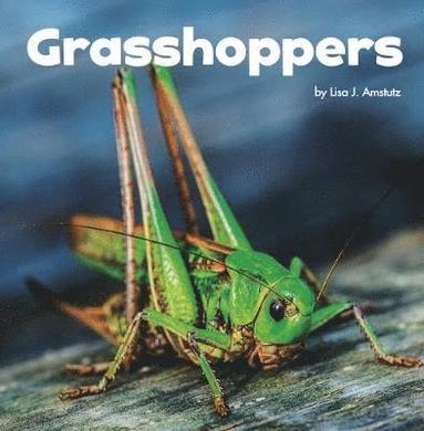 bokomslag Grasshoppers