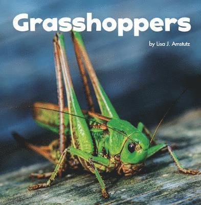 Grasshoppers 1