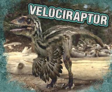 bokomslag Velociraptor