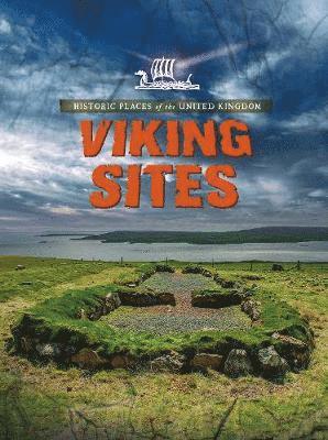 bokomslag Viking Sites