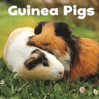 bokomslag Guinea Pigs