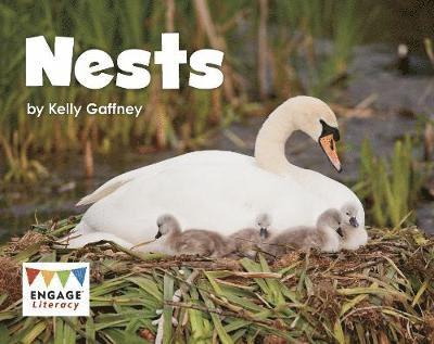 Nests 1