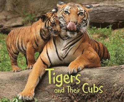 Tigers and Their Cubs 1