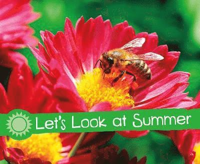 Sarah L. Schuette - Let's Look at Summer, Häftad