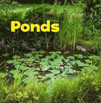 Ponds 1