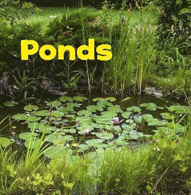 Ponds 1