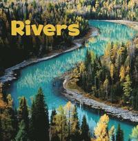 bokomslag Rivers