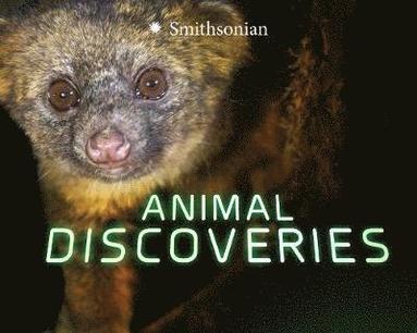 bokomslag Animal Discoveries