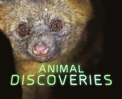 Animal Discoveries