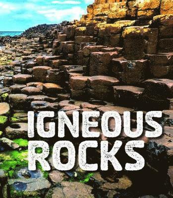 bokomslag Igneous Rocks