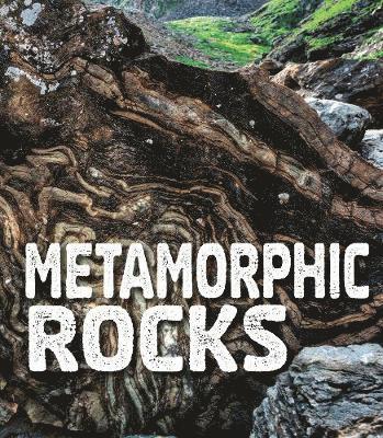 Metamorphic Rocks 1