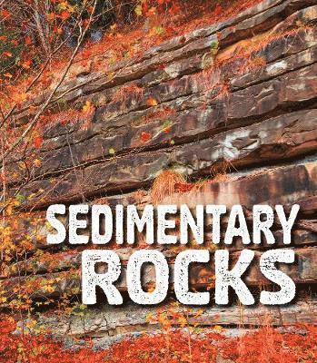 bokomslag Sedimentary Rocks