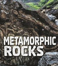 bokomslag Metamorphic Rocks