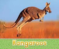 bokomslag Kangaroos