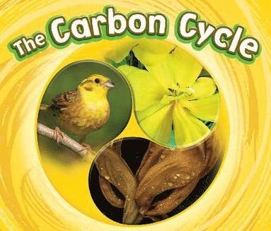 bokomslag The Carbon Cycle