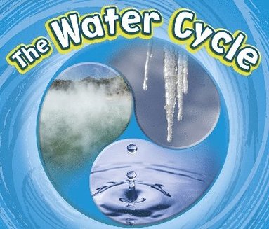 bokomslag The Water Cycle